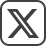 X Icon